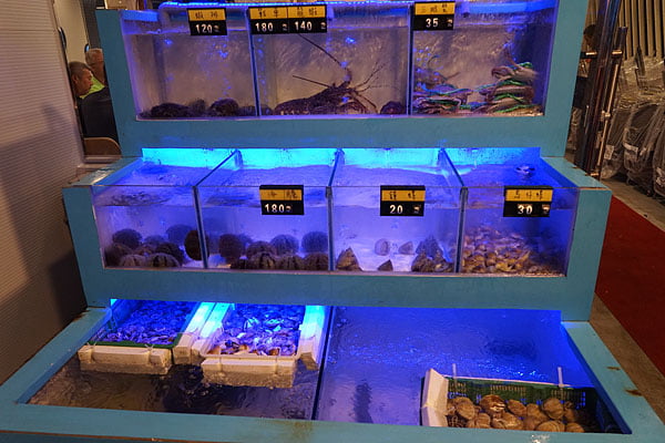 澎湖海鮮餐廳就在臨海樓平價海鮮精緻料理,澎湖宵夜海鮮推薦