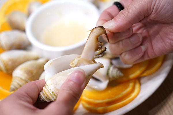 澎湖海鮮餐廳就在臨海樓平價海鮮精緻料理，澎湖宵夜海鮮推薦