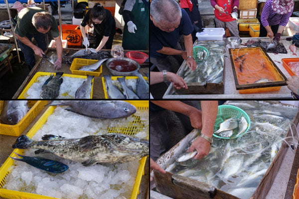 澎湖魚市場│早上6點過後很多海鮮都會沒了，價格便宜人潮多